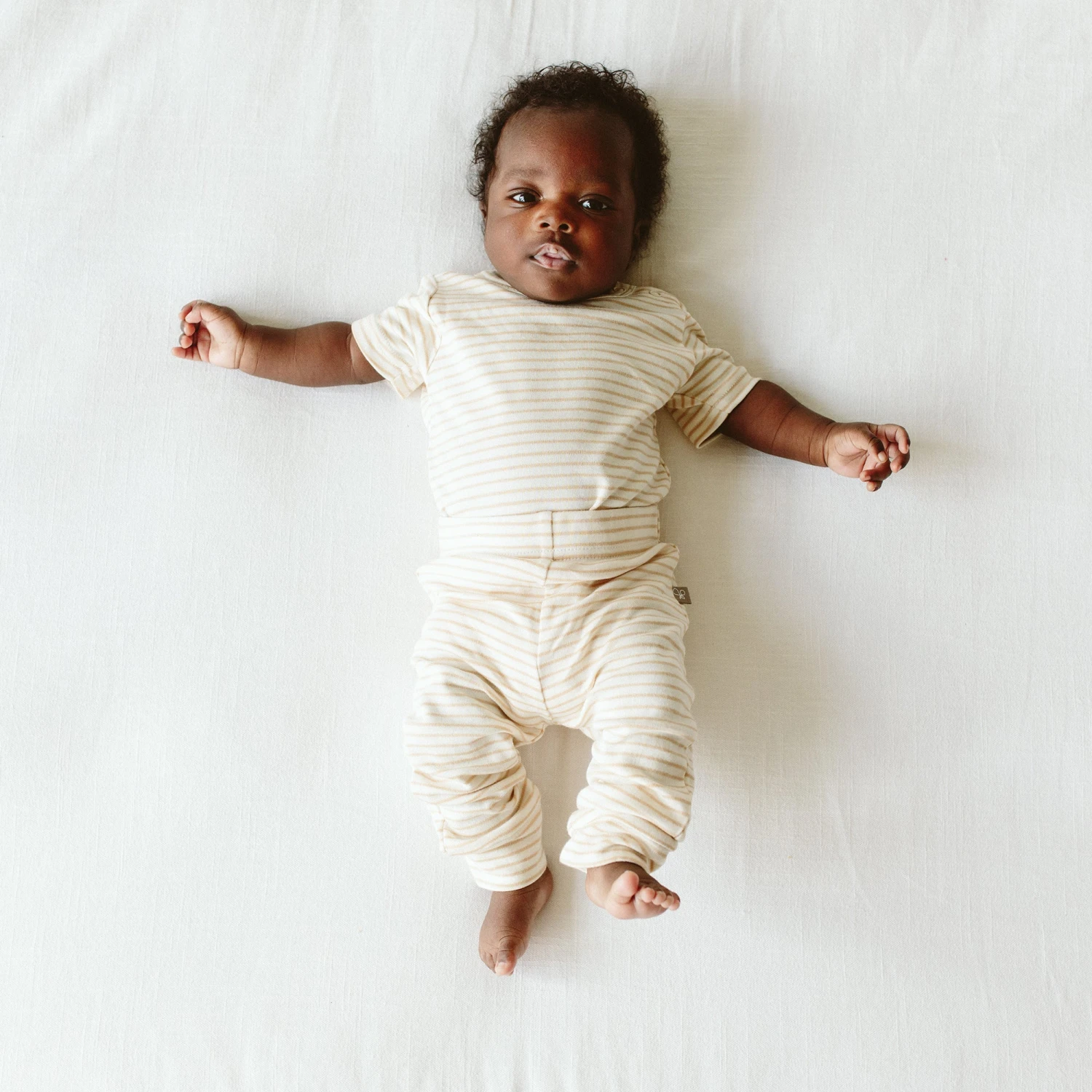 PANTS | DUNE STRIPE 6 PANTS | DUNE STRIPE - Image 4