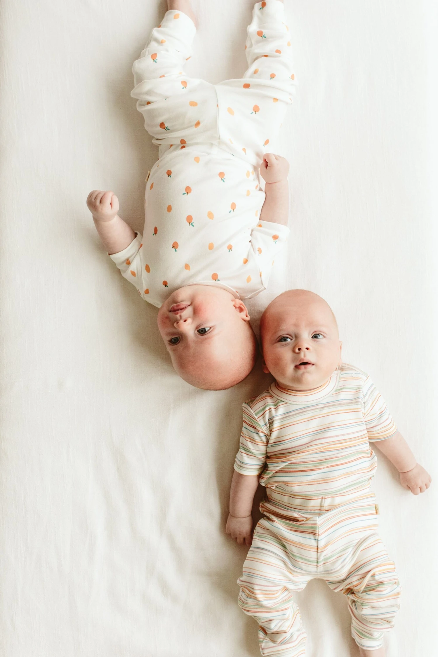 PANTS | BOARDWALK STRIPE 6 PANTS | BOARDWALK STRIPE - Image 4